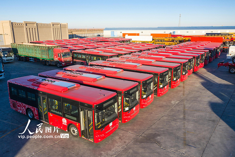 الصين تُصدّر 224 حافلة إلى منغوليا
