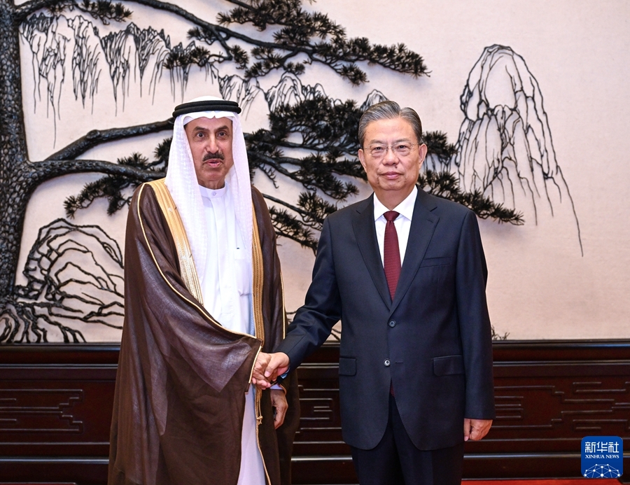 كبير المشرعين الصينيين يعقد محادثات مع رئيس المجلس الوطني الاتحادي الإماراتي