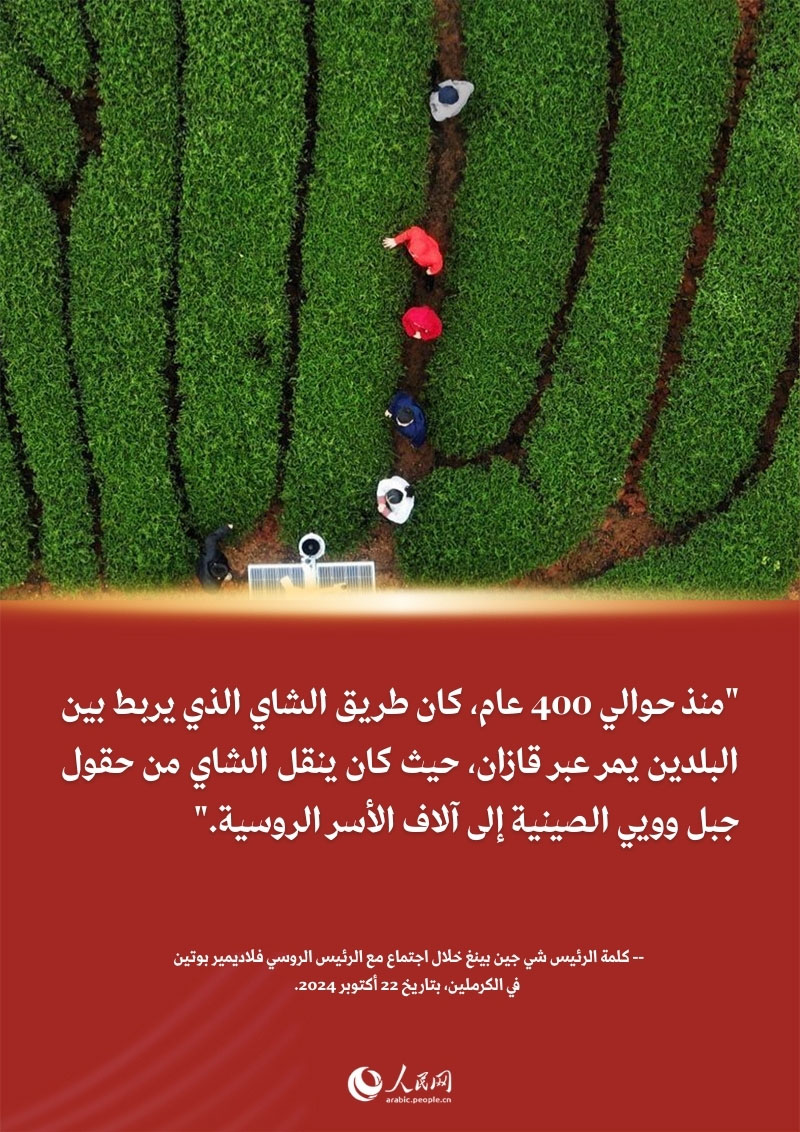 قصة طويلة بين شي جين بينغ وشاي فوجيان