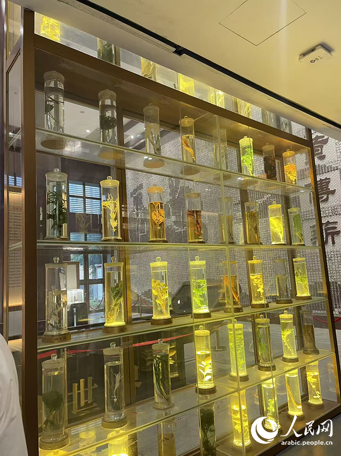 باوآن، شنتنش: منطقة نموذجية وطنية للطب الصيني التقليدي الشعبي