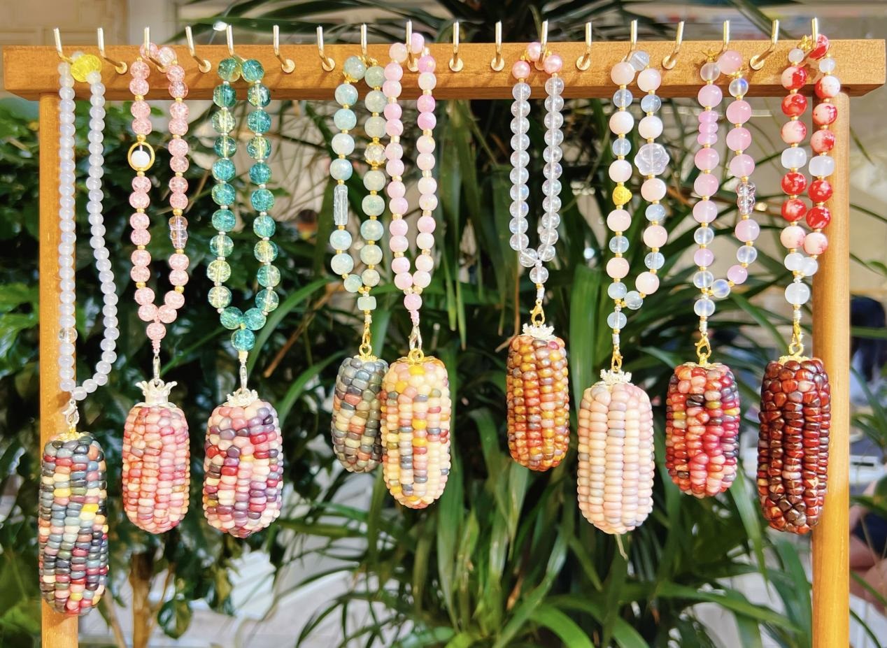 ذرة الزينة في يوننان، حبّاتها مثل الأحجار الكريمة