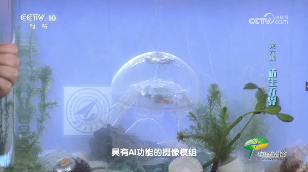 علماء صينيون ينجحون في تطوير روبوت قنديل البحر الشفاف الذي يمكنه مراقبة البيئة تحت الماء في الوقت الفعلي