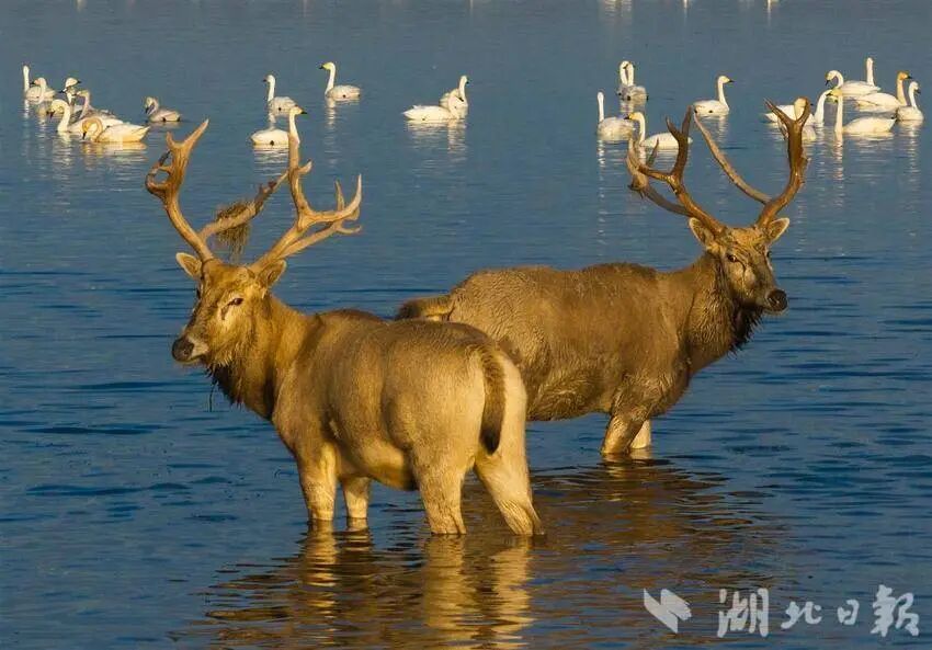 بعد أربعين عامًا من عودته إلى الصين .. الغرب يعيد الاسم الصيني الاصل 