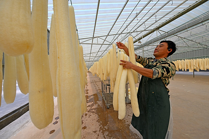 الليف، نبتة صغيرة تصبح صناعة قوية في جيانغشي