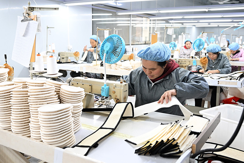 الليف، نبتة صغيرة تصبح صناعة قوية في جيانغشي