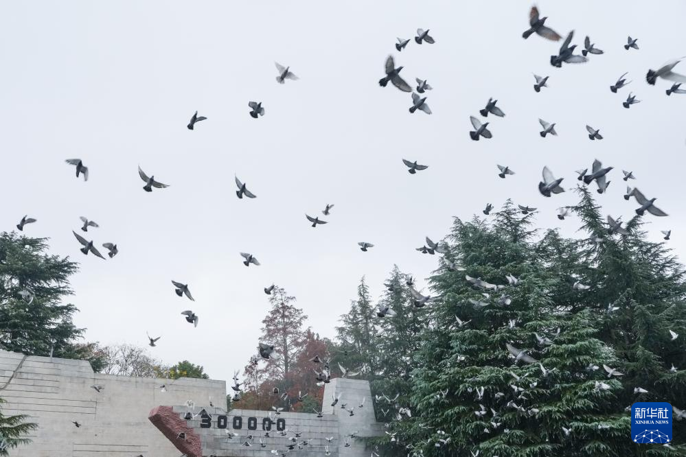 الصين تقيم مراسم تأبين وطنية لإحياء ذكرى ضحايا مذبحة نانجينغ داعية لإحياء ذكرى التاريخ