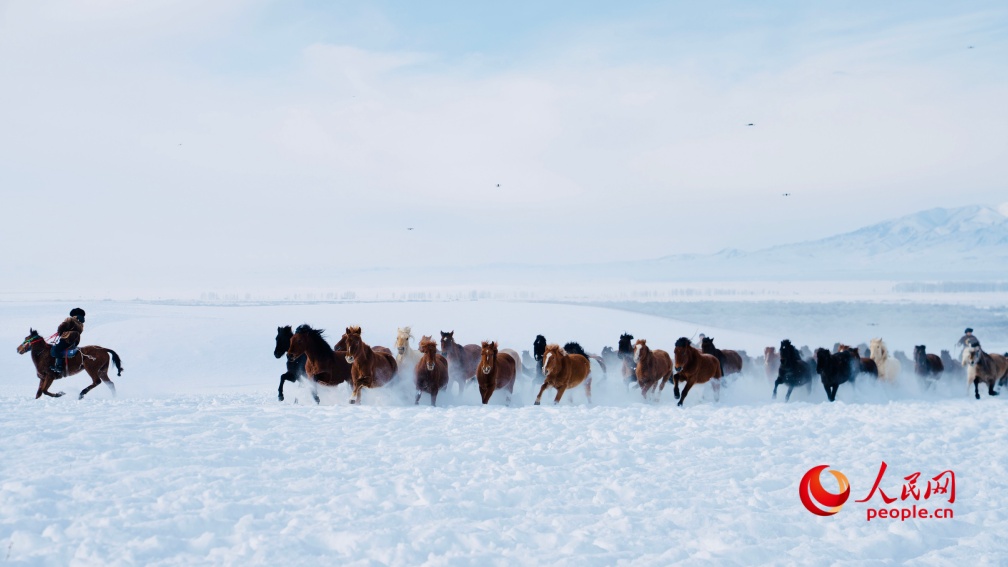 عرض الخيول السماوية فوق السهول الثلجية يذهل الزوار في تشاوسو