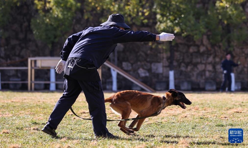 اكتشاف قاعدة تدريب كلاب الشرطة في كونمينغ