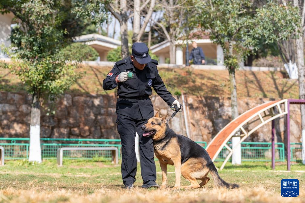 اكتشاف قاعدة تدريب كلاب الشرطة في كونمينغ