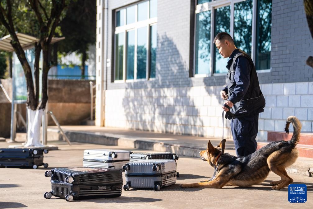 اكتشاف قاعدة تدريب كلاب الشرطة في كونمينغ