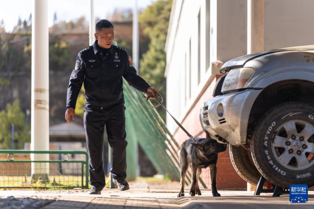 اكتشاف قاعدة تدريب كلاب الشرطة في كونمينغ