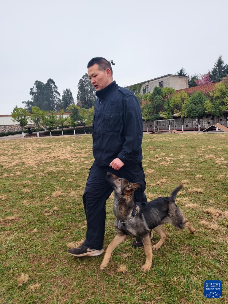 اكتشاف قاعدة تدريب كلاب الشرطة في كونمينغ