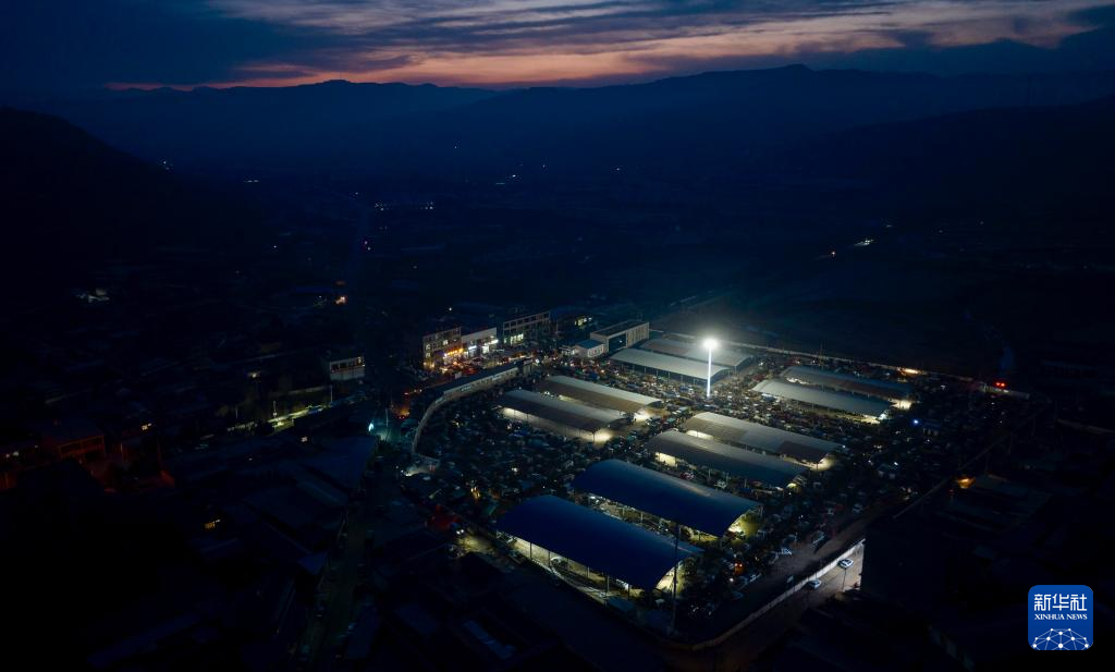 ازدهار أسواق الماشية في شيجي مع بدء فصل الربيع