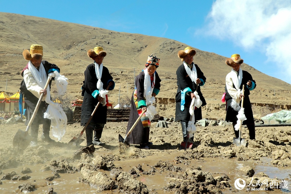 انطلاق موسم الحرث الربيعي في شيتسانغ وسط أجواء روحانية واحتفالية