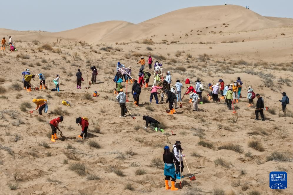 عبر الجبال والبحار.. زراعة الأشجار لحماية البيئة شمال غربي الصين
