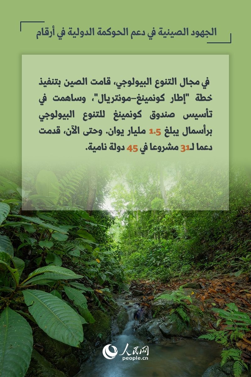 الجهود الصينية في دعم الحوكمة الدولية في أرقام
