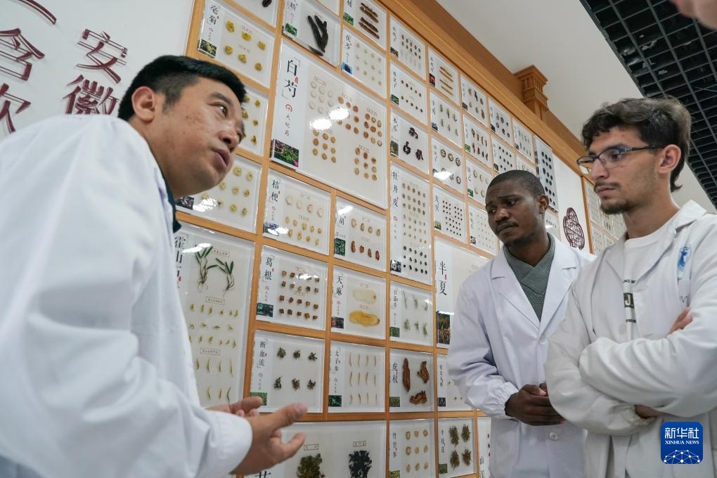 الشغف بالطب الصيني يقود مئات الطلاب الأجانب للدراسة في الصين