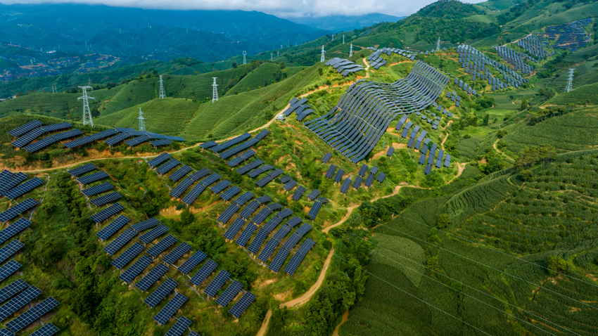 تعليق: نحو نمو 